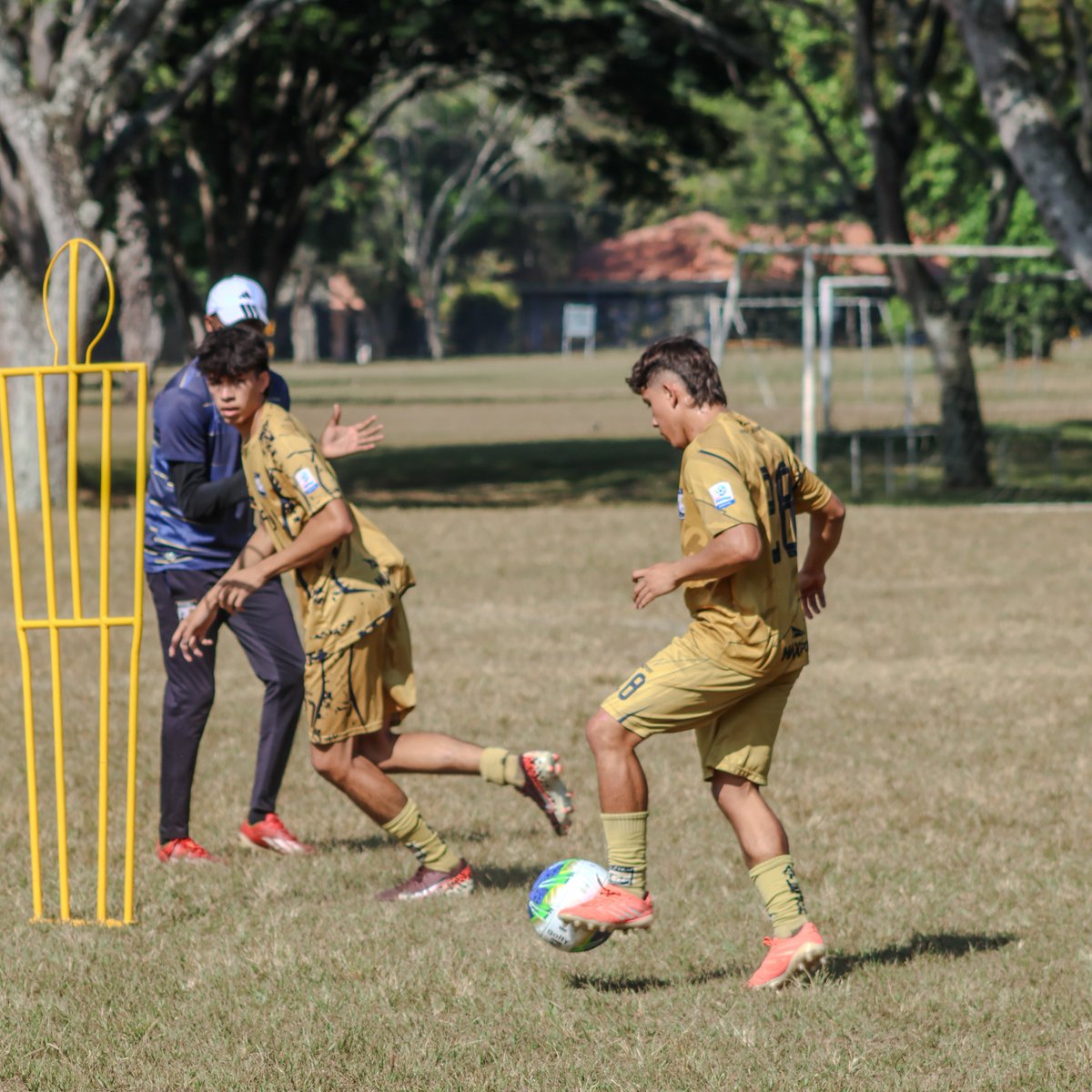 AtleticoFCSA's tweet photo. #AtléticoFCDeCali☀️
⚽💙💛 Trabajo táctico, buen trato de balón e intensidad en cada ejercicio. Seguimos fortaleciendo nuestra idea de juego con compromiso y concentración en cada sesión.
#ModoEntrenamiento #AtléticoFC #TorneoBetPlay #VamosAtléticoFC https://t.co/SnDrf0qM1f