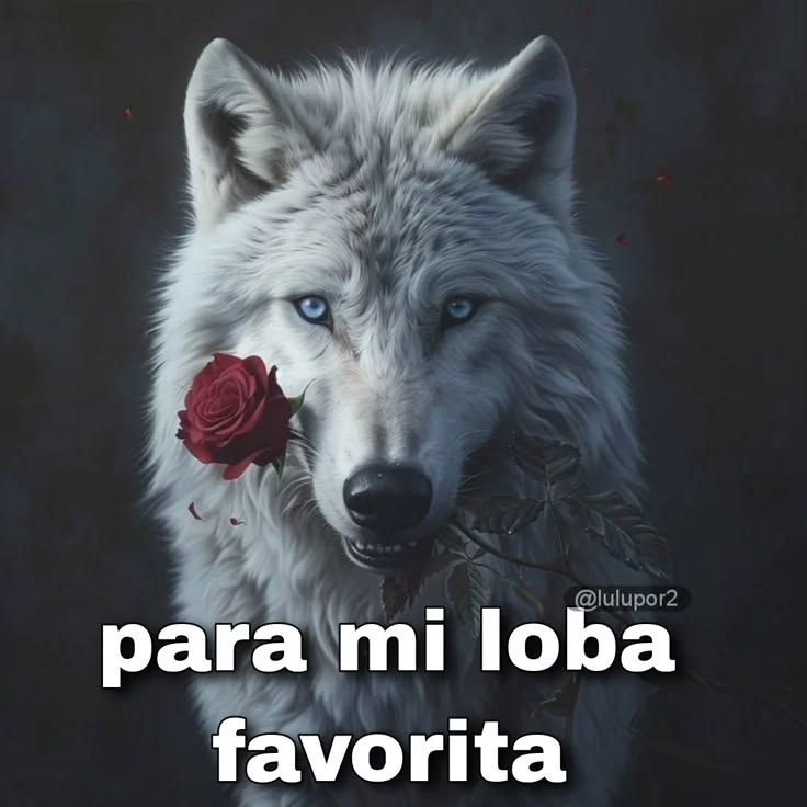 Scaloneta365's tweet photo. @jkgojots Paraguay siempre va a ser nuestro favorito 💋💋💋 https://t.co/wH3o442QKE