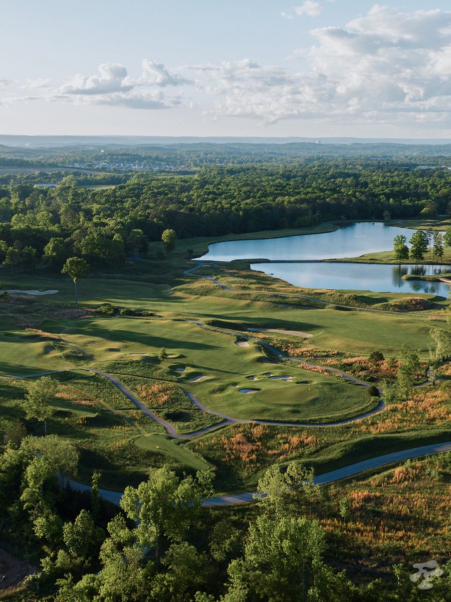 fried_egg_golf tweet picture