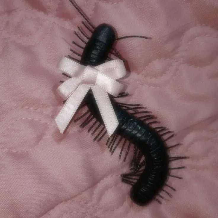burialbride's tweet photo. the bug distribution system has selected me !! everyone meet my sweet angel, her name is princess ૮꒰ > ༝ < ྀི꒱ა https://t.co/ao16N8umLk