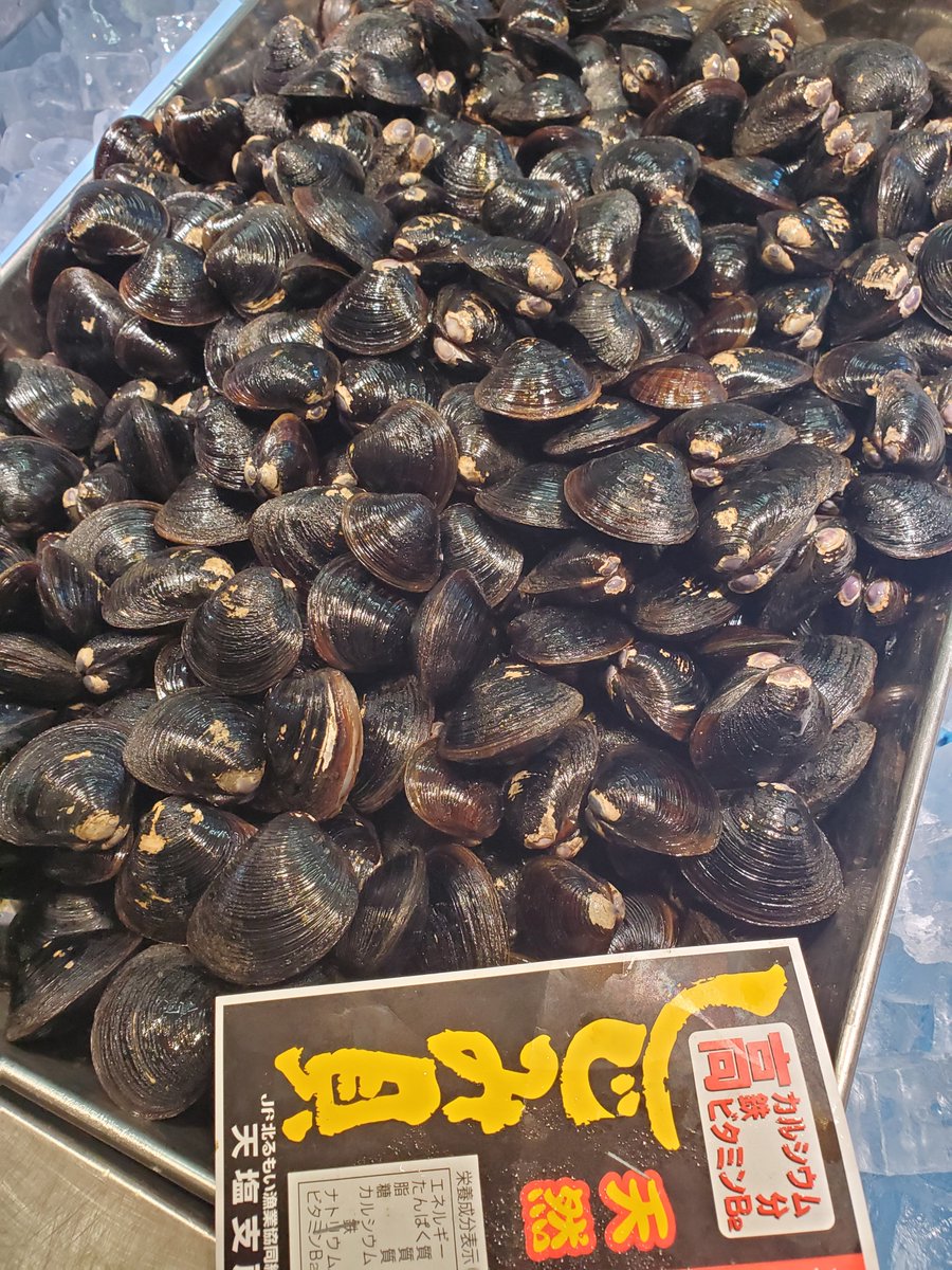 kitanishin0401's tweet photo. おはようございます。

甘エビも入荷予定です♪ https://t.co/JAagc94QyM
