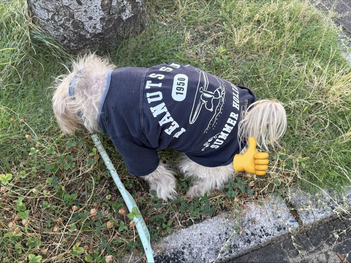 neosan5's tweet photo. 今日はここ💩 https://t.co/nk2NDNPCNr