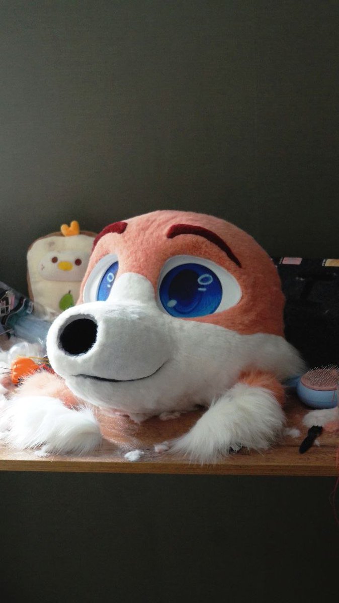 YashaPowellBox's tweet photo. Grooming this cute little muzzle UwU 
#Fursuit
#FursuitMaker #FursuitGrooming #FursuitWednesday #FurryCommunity https://t.co/KlTrM88vbv