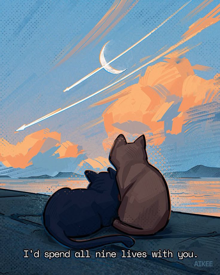 Nightbloomc's tweet photo. I'd spend all nine lives with you. https://t.co/mpUx1CECke