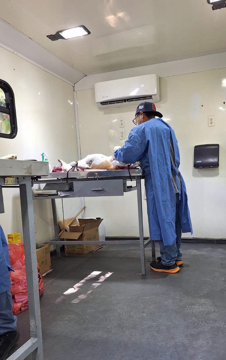 SSalud_Tab's tweet photo. 🐶🐱 La Jornada Estatal de Vacunación Antirrábica y Esterilización Canina y Felina continúa en el municipio de Centro.

Esta semana seguimos acercando estos servicios gratuitos para proteger la salud de tus mascotas y contribuir a la prevención de la rabia. https://t.co/lrQLLEnyzX