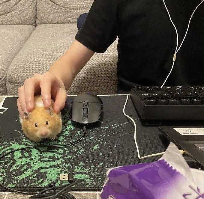 BichinhosFB's tweet photo. Gente! Seguinte...

O meu mouse não tá funcionando https://t.co/N4nVM7sNhT