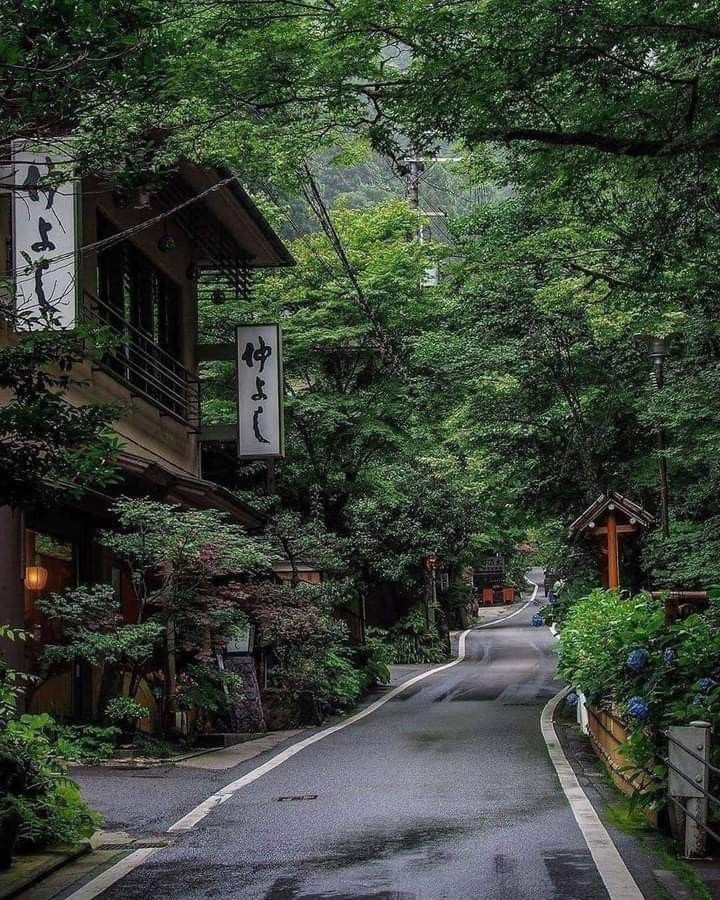 naturehealyou's tweet photo. Kyoto, Japan https://t.co/Uoi1hrnEdE