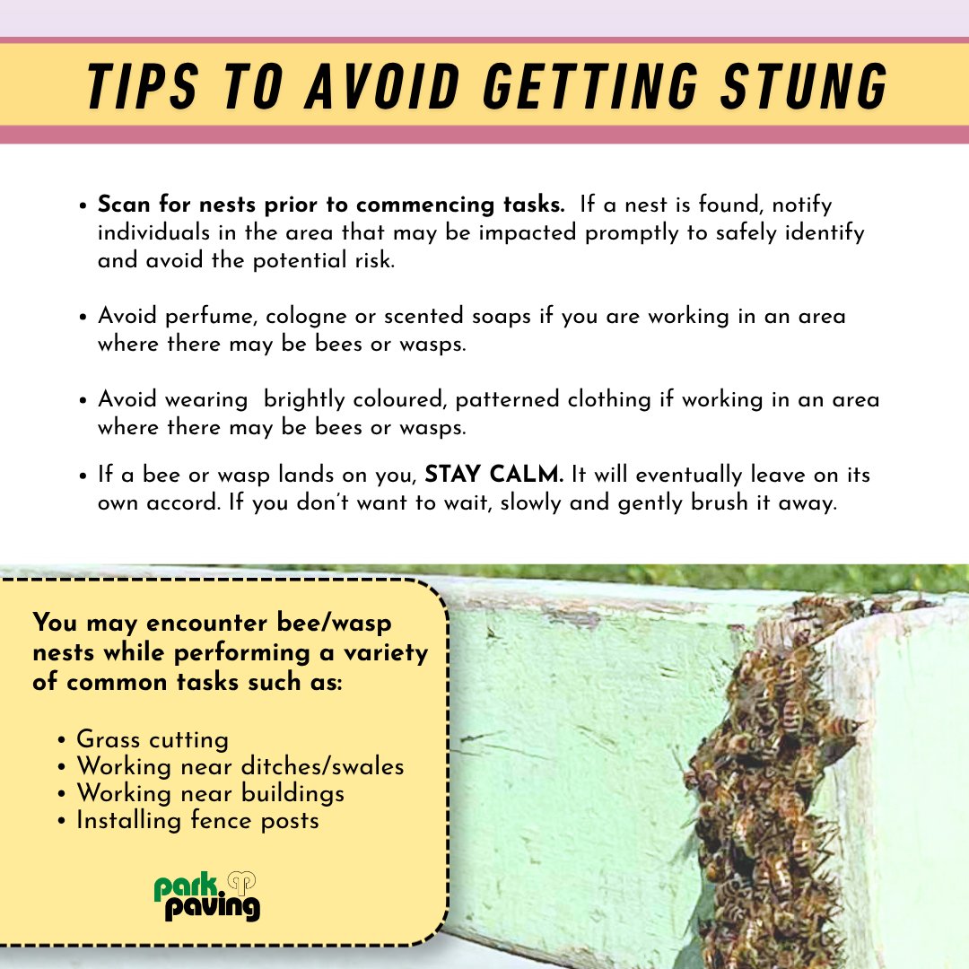 ParkPaving's tweet photo. Understanding how to recognize insect activity, avoid disturbing nests, and respond safely to stings can help prevent injuries and keep everyone safe.
#yeg #yegbusiness #yegconstruction #yeglocal #yegcommunity #alberta #edmonton #safety #beesafety #waspsafety #insectsafety https://t.co/z1fanzEjSA