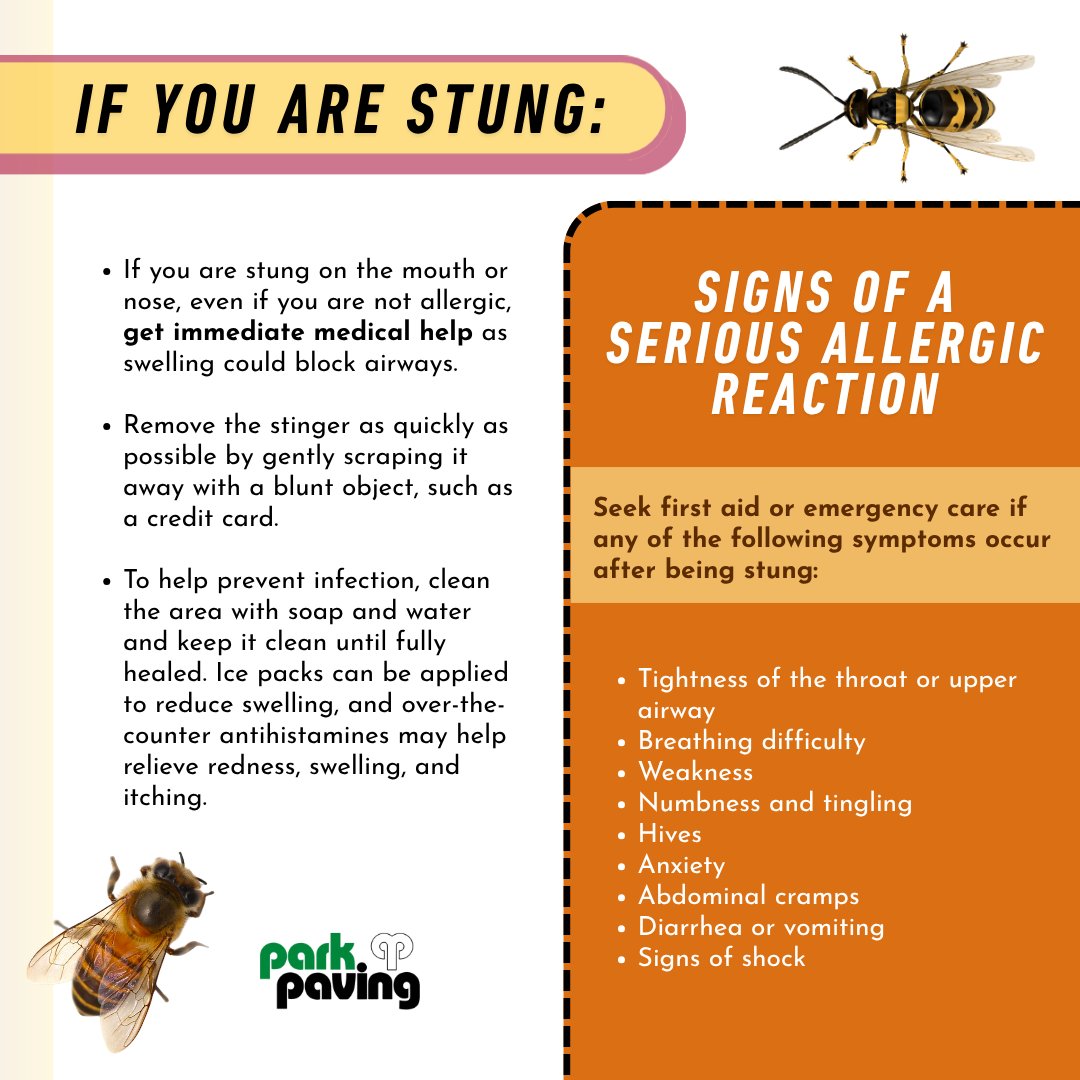 ParkPaving's tweet photo. Understanding how to recognize insect activity, avoid disturbing nests, and respond safely to stings can help prevent injuries and keep everyone safe.
#yeg #yegbusiness #yegconstruction #yeglocal #yegcommunity #alberta #edmonton #safety #beesafety #waspsafety #insectsafety https://t.co/z1fanzEjSA