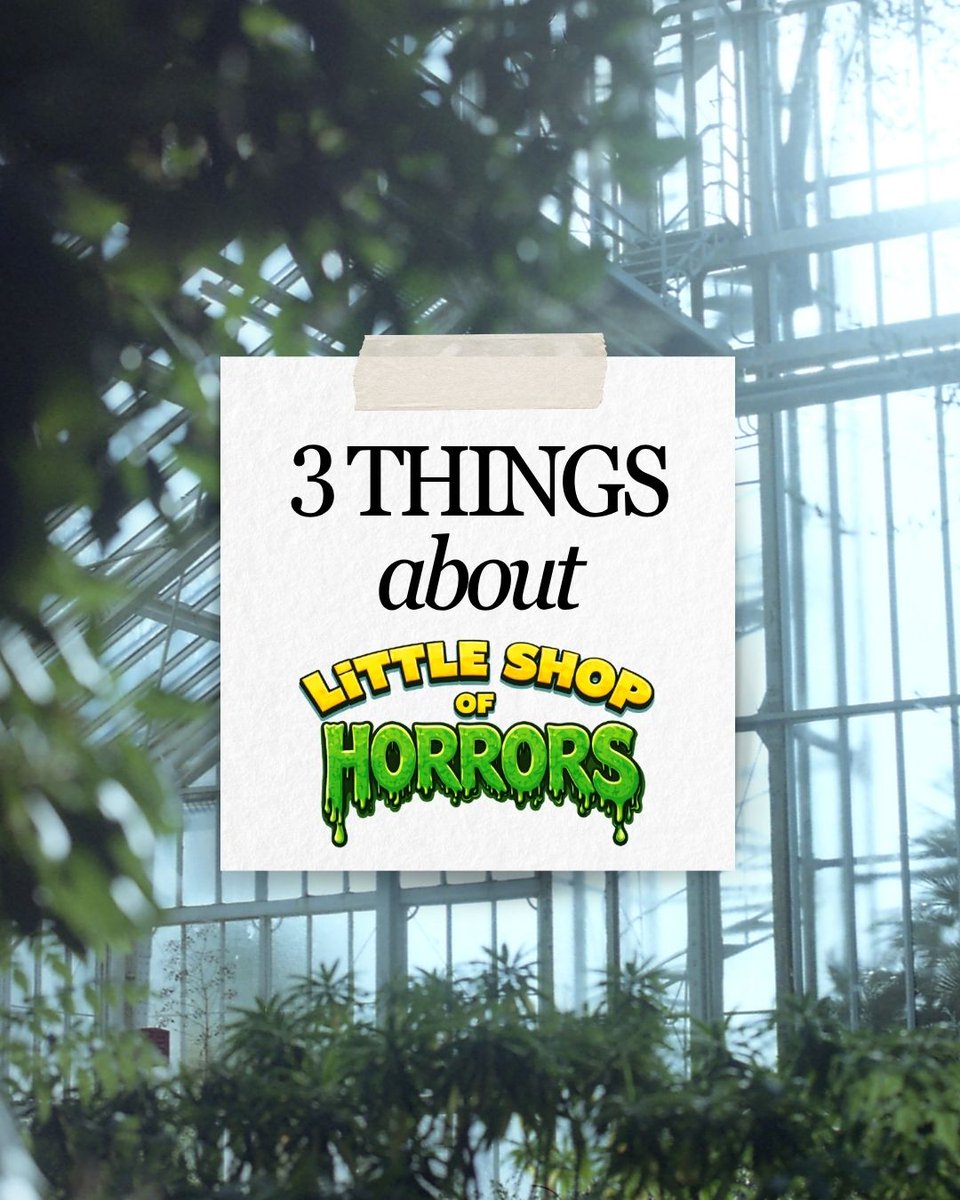 arizonatheatre's tweet photo. Feeding you some fun facts about LITTLE SHOP OF HORRORS 🌱🩸

This beloved classic comes to Tucson 11/28-12/20 and Tempe/PHX 1/9-1/24. 🎟️Single Tickets On Sale Now at https://t.co/N8wqAPs83Y https://t.co/lM9BLMsIIZ