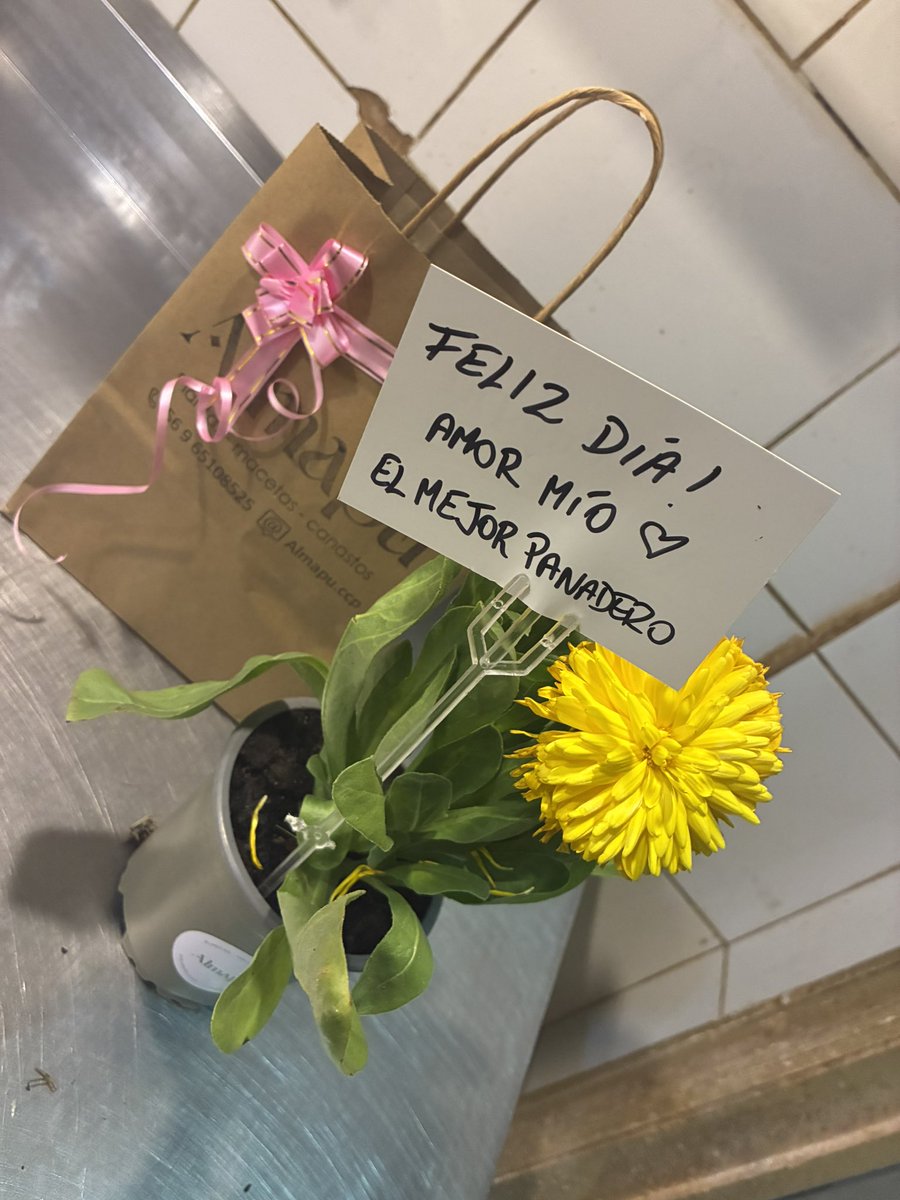 Nykozcs's tweet photo. Mi bebe es más lindo, me hizo este regalito para el día del panadero 😻 https://t.co/witLFmJov8