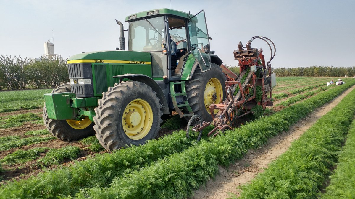 SKGov's tweet photo. August 1st was Food Day Canada! 

This national celebration is a day for Canadians to recognize and celebrate our farmers, ranchers, and fishers, as well as chefs, researchers, and everyone who helps bring food to our tables.  #FoodDayCanada https://t.co/oBQYWNVbNn