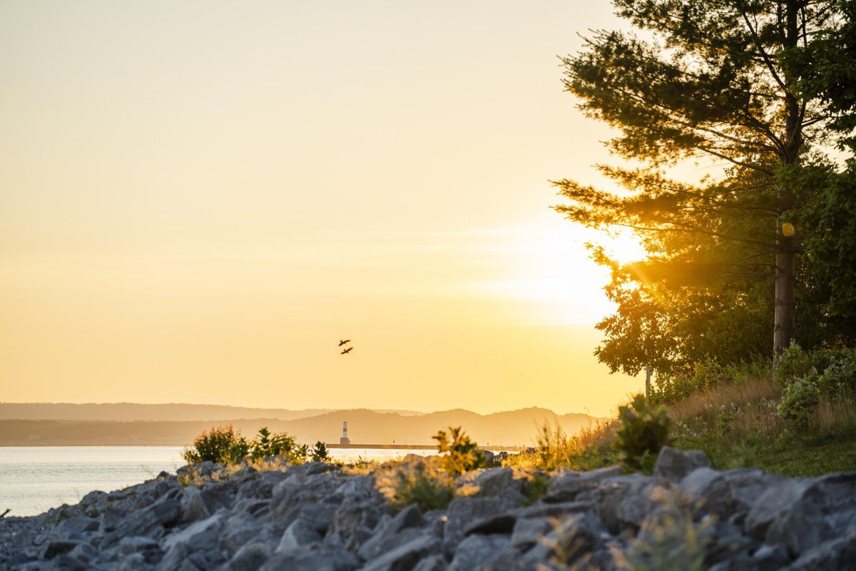 PetoskeyArea's tweet photo. Can't believe it's August already! Riding the Little Traverse Wheelway along Petoskey's Breakwall — sun, bikes, and stunning views. ☀️🚲 #Petoskey #Cycling https://t.co/mEBD6sL7re
