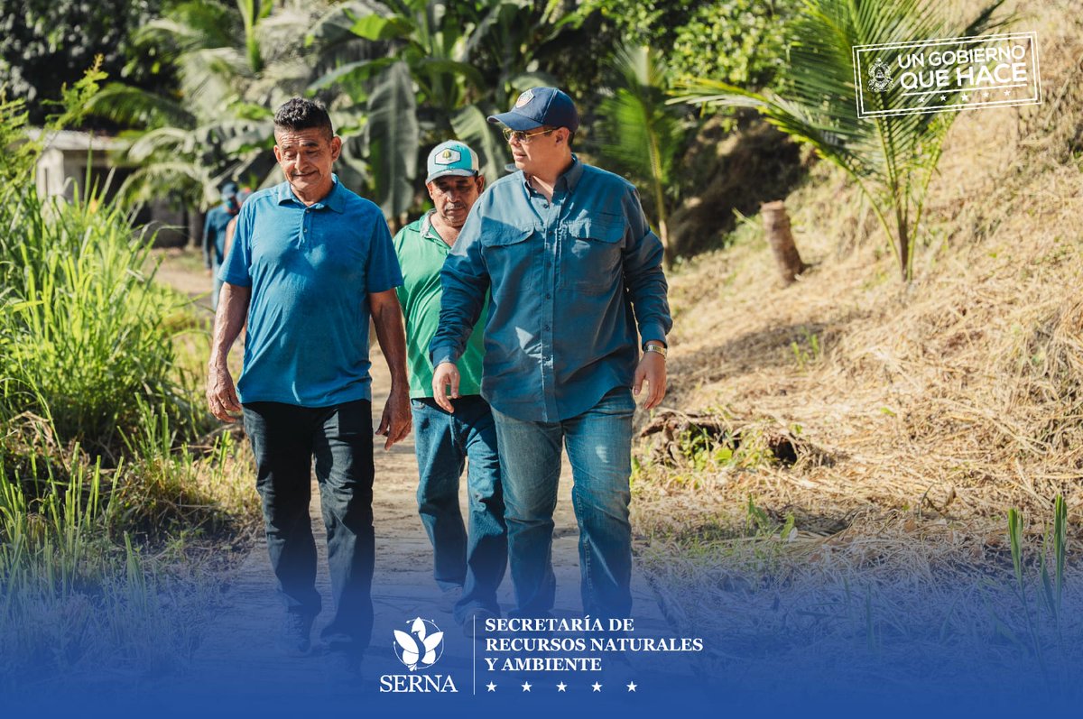 sernaHN's tweet photo. 🌱 Desde La Másica, Atlántida, nace la restauración ambiental. 

A través del Proyecto RECOVER Honduras, la Secretaría de Recursos Naturales y Ambiente impulsa el Vivero El Recreo, con una capacidad instalada para producir 45 mil plantas, entre especies frutales y forestales, destinadas a apoyar los procesos de restauración y recuperación de áreas degradadas.

El vivero tiene capacidad para producir 15 mil plantas frutales y 30 mil forestales, fortaleciendo la disponibilidad de especies para las acciones de restauración y contribuyendo a la conectividad ecológica en áreas prioritarias.

Desde SERNA, seguimos impulsando acciones que contribuyen a la restauración y recuperación de nuestros ecosistemas.