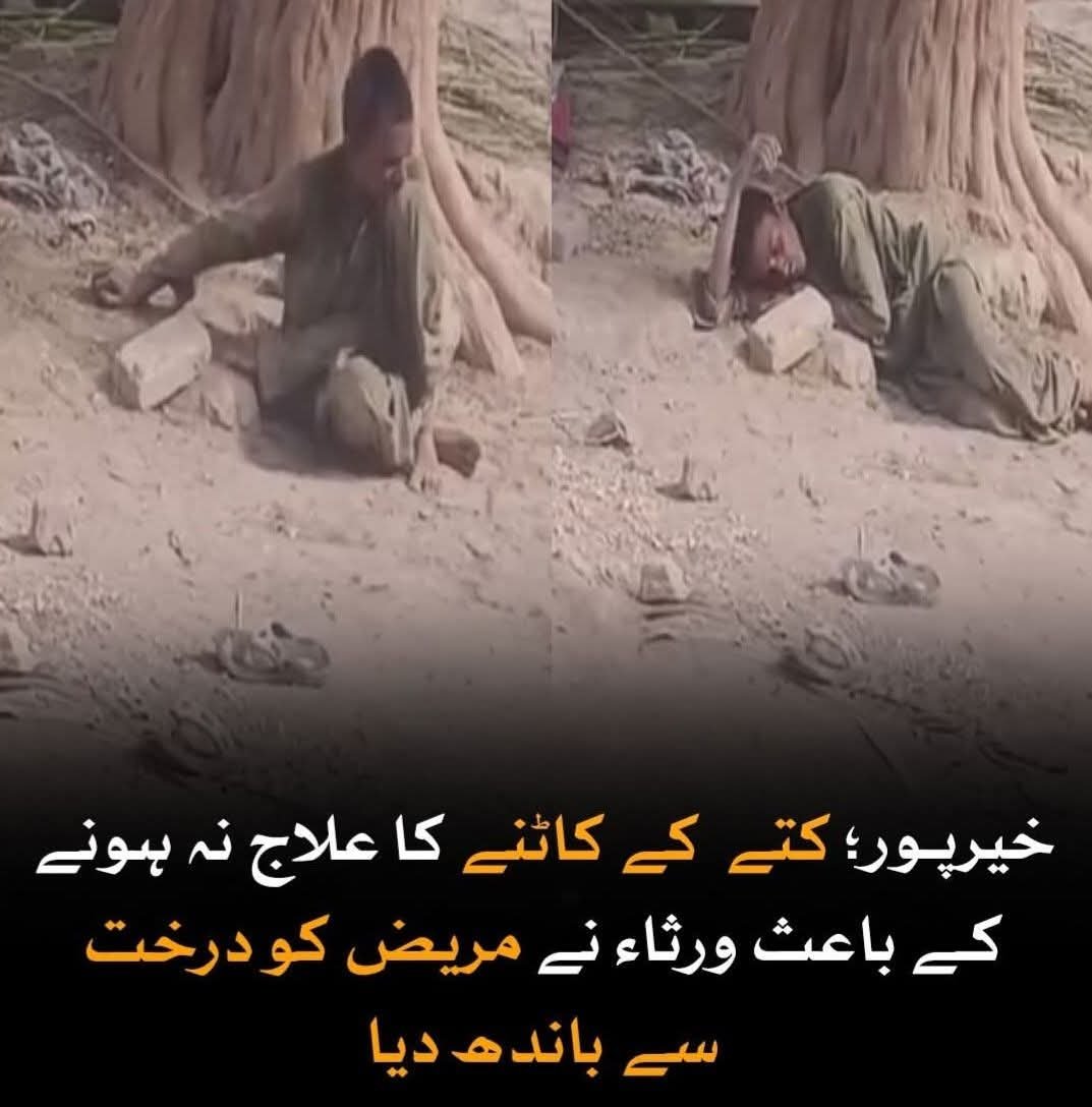 AthSal01's tweet photo. سندھ پیپلز پارٹی کی ایلیڈ کلاس کے لیے پیرس مگر غریب و لاچار عام سندھی کے لیے کسی دوزخ سے کم نہیں۔ اوپر سے بدقسمتی کہ تبدیلی کی جب بھی کوئی بات کرے تو فورا سندھی کارڈ نکل آتا ہے۔۔۔۔ https://t.co/ySQ31CpZNz