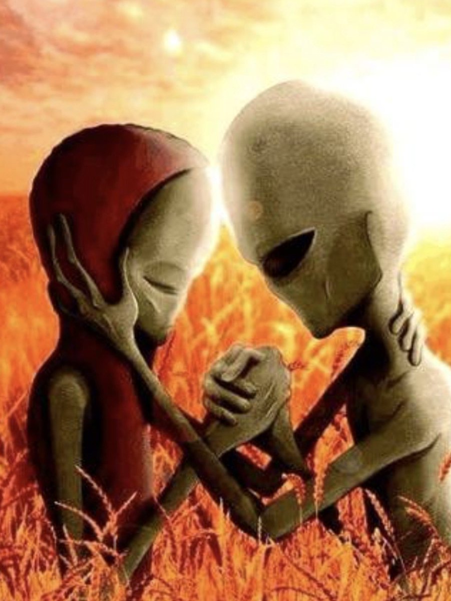 emperordecay's tweet photo. literalmente eu e @seobygirl https://t.co/pEzjqEUPGb