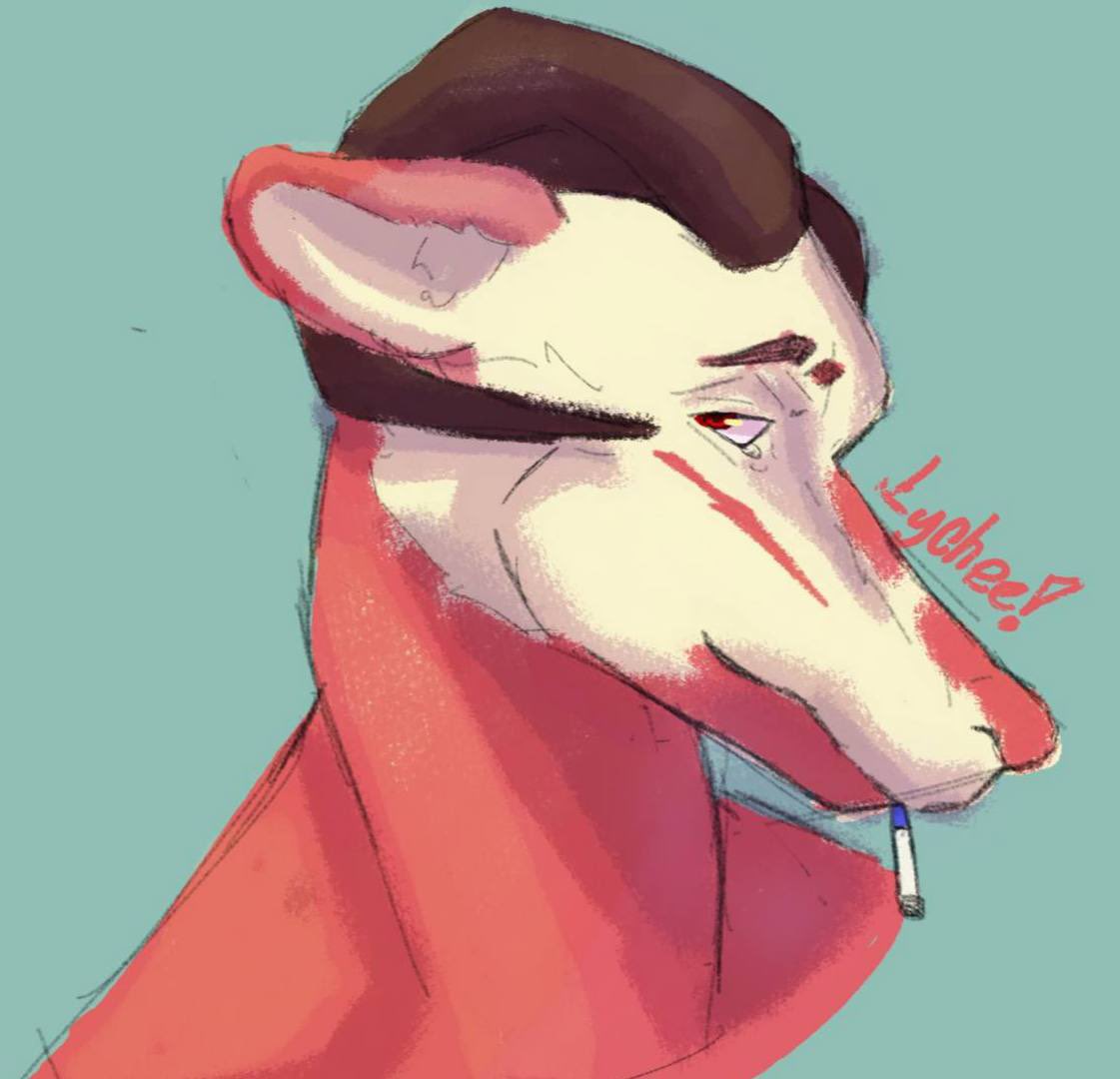 Lycheedagot's tweet photo. New thinguies no the iPad uwu https://t.co/IWuT4EwbZ2