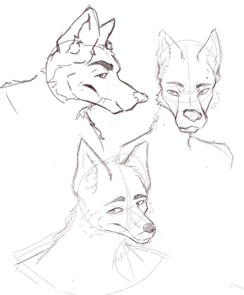 Lycheedagot's tweet photo. New thinguies no the iPad uwu https://t.co/IWuT4EwbZ2