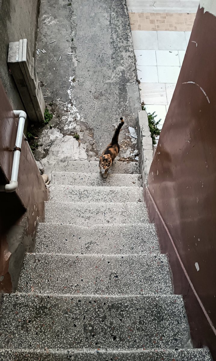 Dalforr's tweet photo. Ölmeden önce yapılacaklar listesine uyup ruhu tatmin etme ya da ömrünü anlamlı geçirme çabası.. https://t.co/FXGLyFXtOB