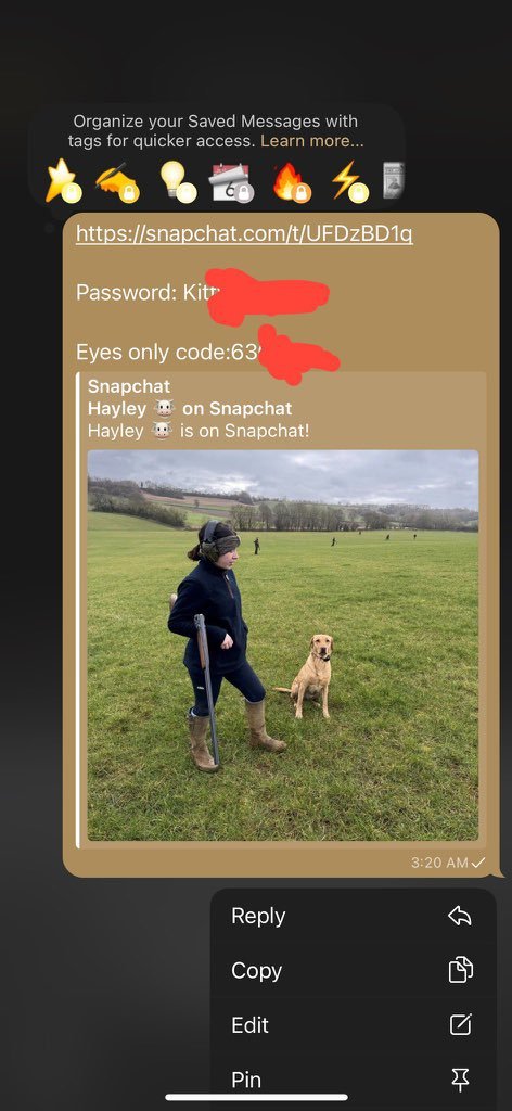 Oops_NotHisLOVE's tweet photo. Attacks are rare but can be serious. They exploit unknown bugs, prompt app updates is your strongest defense! 
Only username needed to breach Snapchat; access the 2Fa and bypass her MEO secret code! Dm me
#snap #hack #usa #myeyesonly #iOS #nsfw #snapbop #crypto #buyingcontent https://t.co/JWdDD53qO3