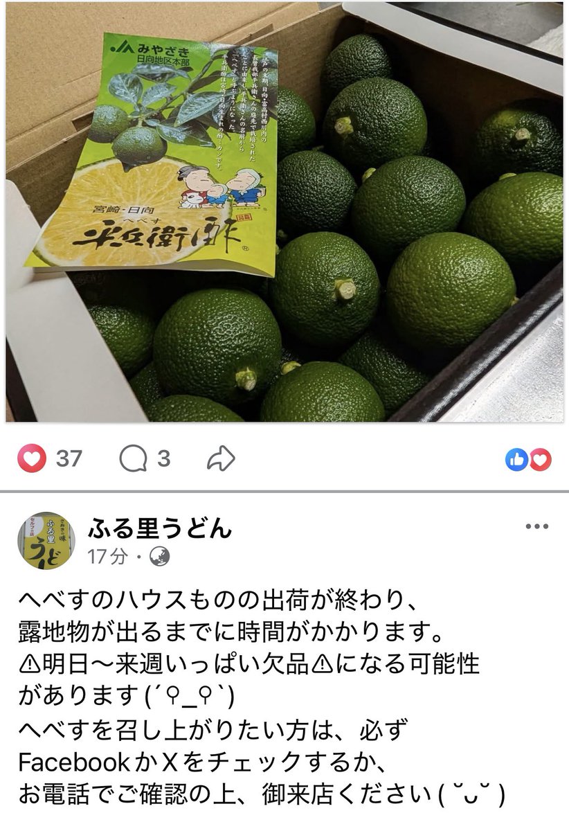 38CLUB1's tweet photo. おはようございます😊
ふる里うどんさん今日は定休日
へべすがハウス物から路地物に変わるそうです
うどん巡り始めた頃はうどんにのってる柑橘が嫌でねぇ😅
5年ぐらい前から食べれるようになって、すだちやライムも食べましたけど、それぞれ特徴あって面白い
ハウス物と路地物も違いあるんかな〜と思ってみたり…
(画像はFacebookより転載許可済)
それでは今日もご安全に👋