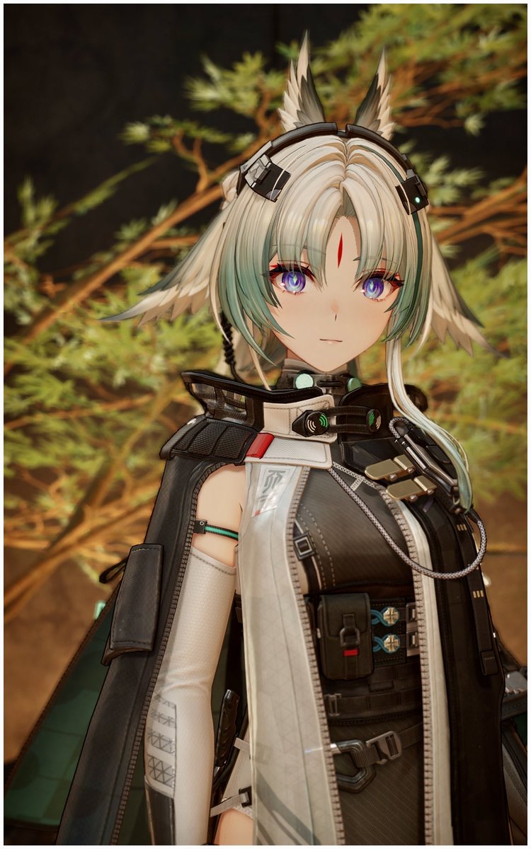 こむぎ (@komugi6a) / Posts / X