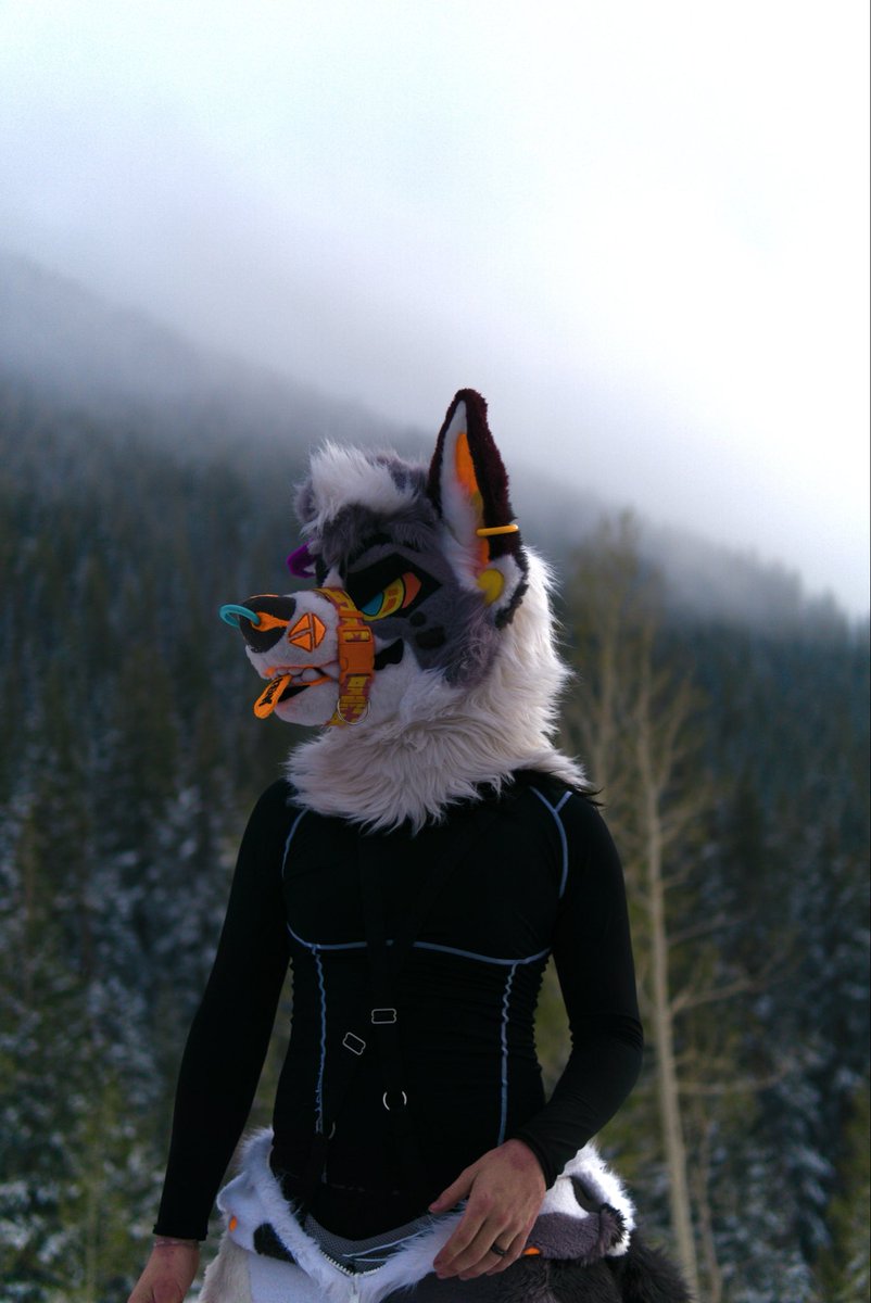xMEZZIERx's tweet photo. Always quieter in the mountains🏔️
#furry #fursona #fursuit #nature https://t.co/l6fPwM3pCu