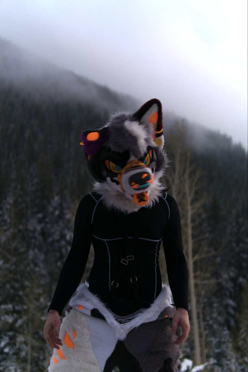 xMEZZIERx's tweet photo. Always quieter in the mountains🏔️
#furry #fursona #fursuit #nature https://t.co/l6fPwM3pCu