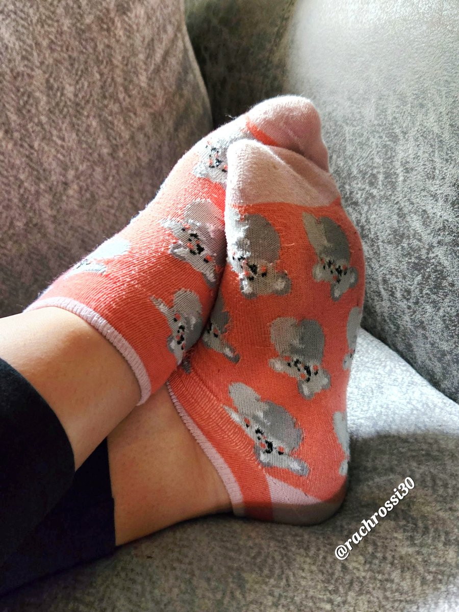 rachrossi30's tweet photo. In love with my collection of socks, but I need more! https://t.co/kl0vTY7c6N