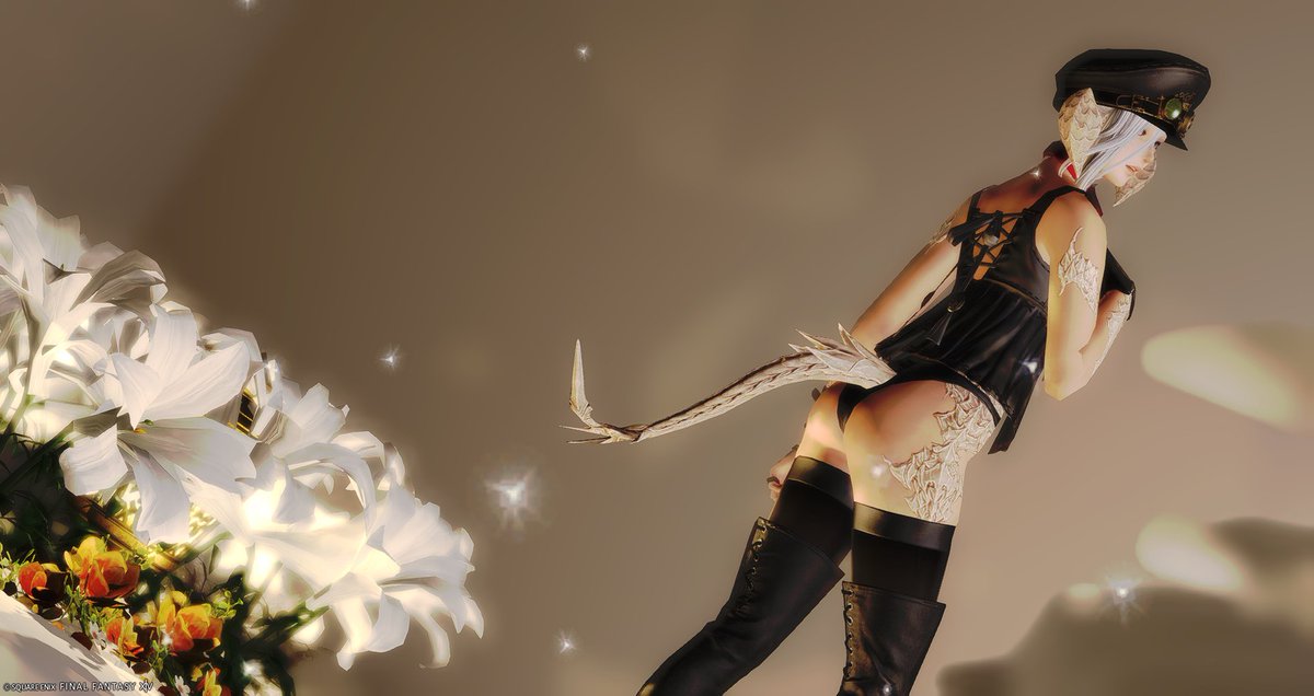 Koyuki_ff14's tweet photo. メスラの神ぃずｗ https://t.co/BUUjaTjiaO