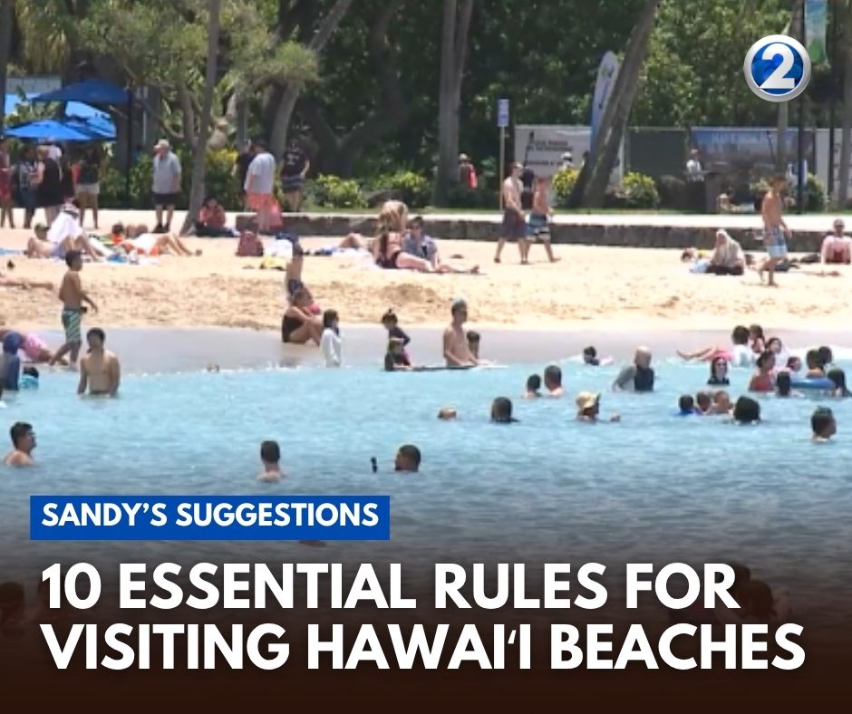 KHONnews's tweet photo. 🚨Some of the biggest mistakes people make at Hawaiʻi beaches happen before they even get in the water🏖️These 10 essential beach rules can help keep you safe, protect marine life and show respect for the islands👇Read this before your next beach trip:https://t.co/DHe8Albzeo https://t.co/q4nRY2cxZC