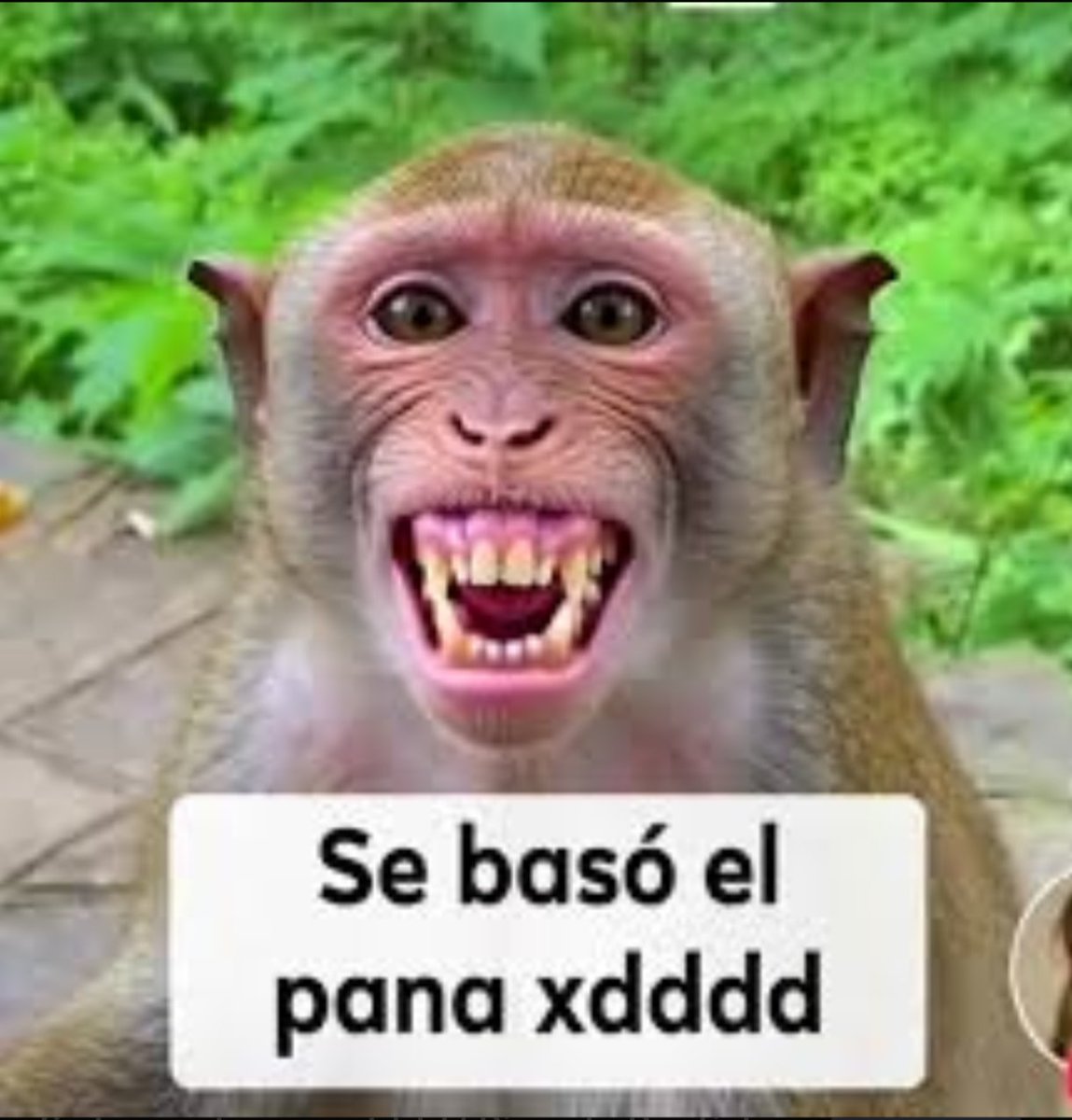 TheRealSendix's tweet photo. Nunca ví vete a la versh pero Pos al chile lo que dice si es un facto https://t.co/lVvxtJoNbv
