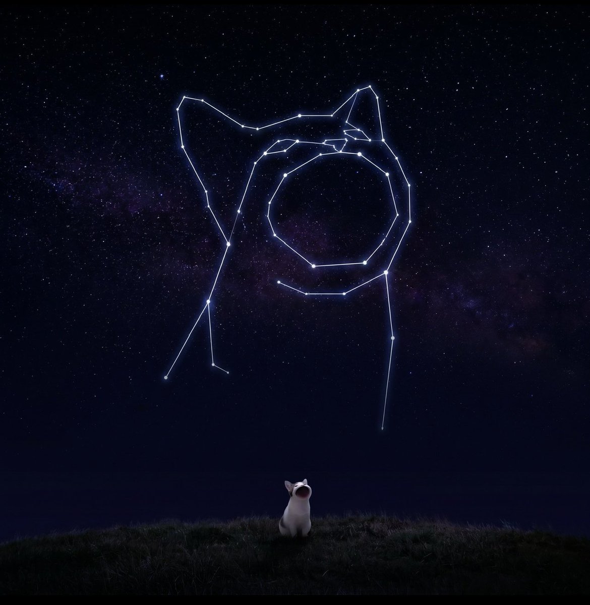 popcat_rh's tweet photo. seeing big picture star patterns of me popping https://t.co/gUGR0GLFNO