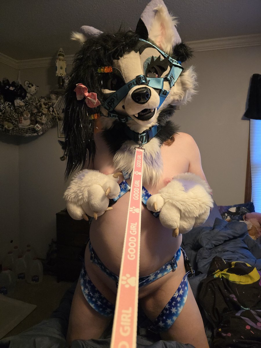 MartogAD's tweet photo. Puppy loves her leash pulled. Would you like to pull it and see if I turn into a good puppy?

#furry #fursuit #nsfw #murrsuit #nsfwtwt https://t.co/SMEr6rUB6y