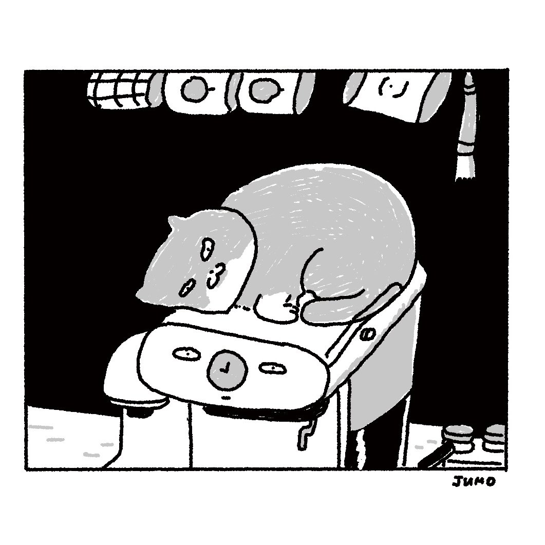 xmenjunoAppJP's tweet photo. ☕️
 #イラスト #猫 https://t.co/ytoSWCN9ms