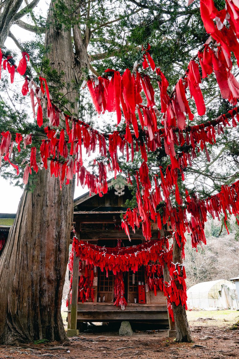 urbex_34's tweet photo. 無数の赤い布が風にたなびく、遠野にある卯子酉神社。縁結びの神様と知られており、一つ一つには願い事が書かれていた。 https://t.co/JRgXJj9wna
