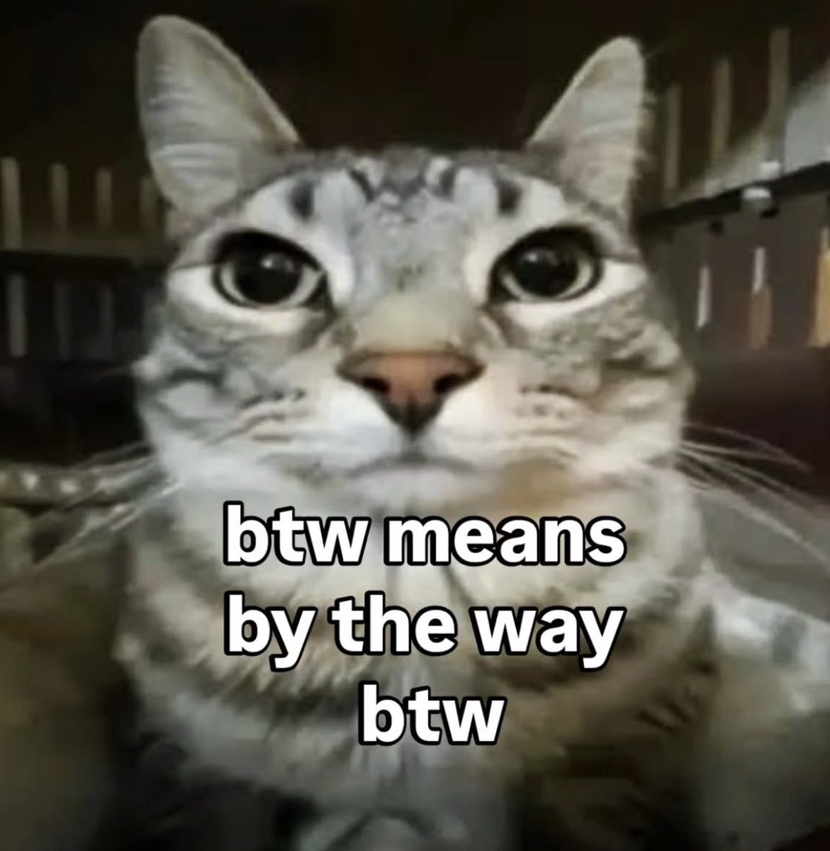 RespectfulMemes's tweet photo. https://t.co/ycL548eCI4