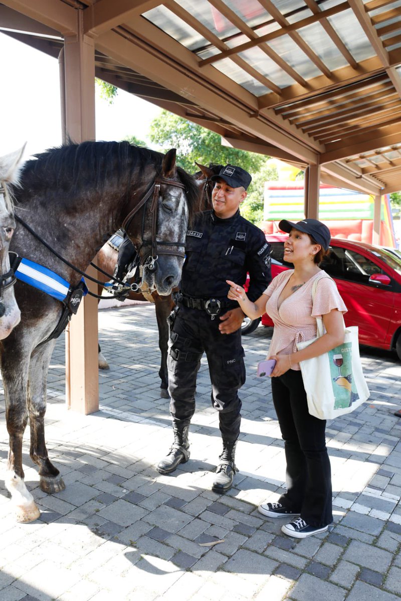 PNCSV's tweet photo. 📍Parque Natural Puerta del Diablo, Panchimalco, San Salvador Sur

Niños y adultos interactúan con nuestra Policía Montada y aprovechan para tomarse una fotografía con los equinos. 🐴👮🏻‍♂️

Así se viven las Fiestas Agostinas: cercanas y seguras.

#PlanControlTerritorial https://t.co/Q1QNZA9IVG