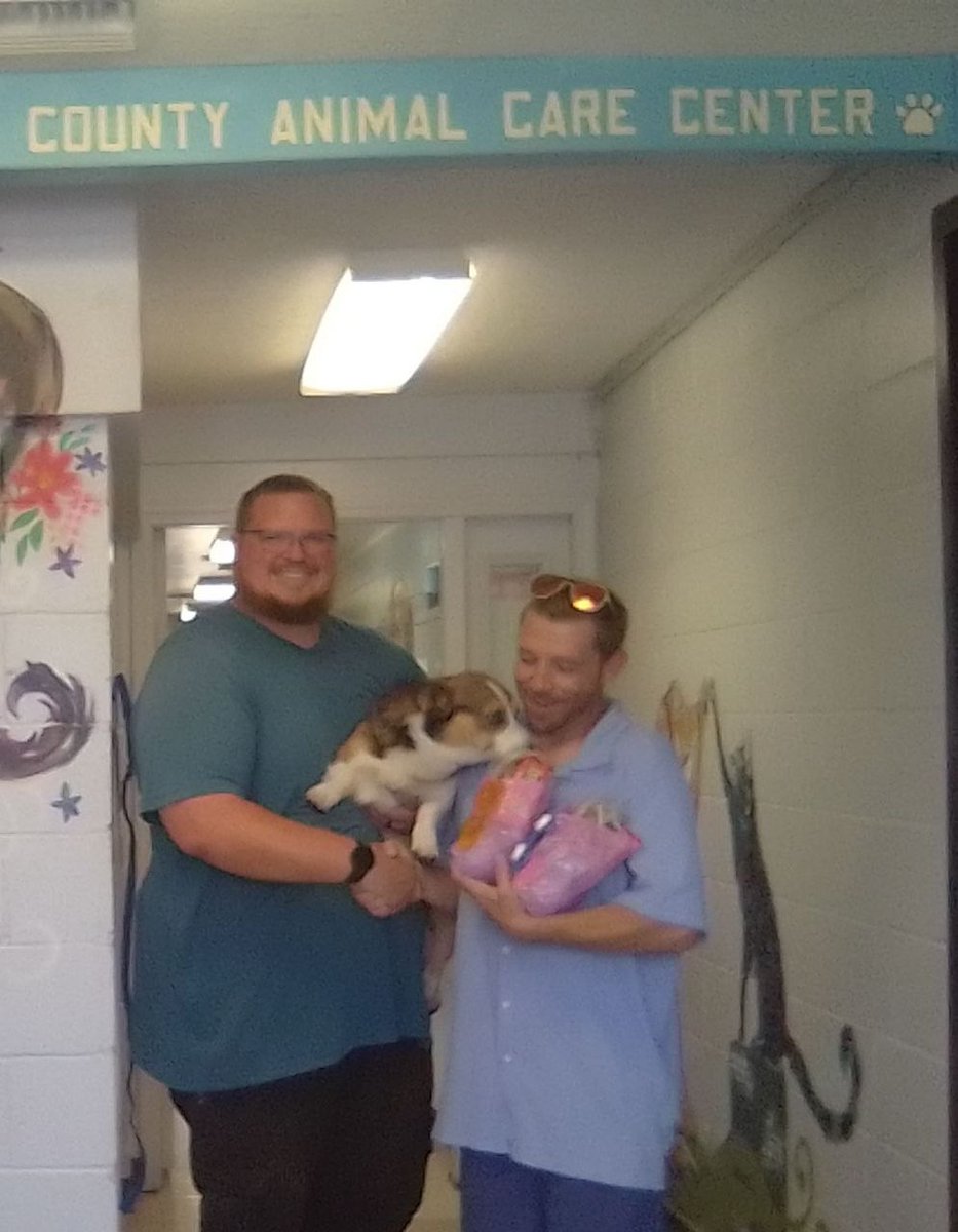 MajorLgCornhole's tweet photo. The $Wickedpissa team was back at the Tehama County Animal Care Center today to donate more of our "Cholo Goodie Bags"! A massive thank you to the #Tehama County shelter for their incredible dedication to these animals. Get in touch with them here to meet your next fur-ever friend: 
https://t.co/qxUdXO6Vd4

We’re also excited to announce that Max the Rottweiler will be our next featured pet in our upcoming spotlight!

Join our "Help Support Hope" (HSH) mission—a community coin where 75% of rewards go directly to shelters as donation bags, while 25% returns to our traders as cash back. The more we trade, the more we earn, and the more we can support the paws! 🐾

Check out Wickedpissa on https://t.co/v9btrtGJDK: 
https://t.co/Rm5T2o2C8u

#paws #coinforacause #wickedvibesonly #petrescue
