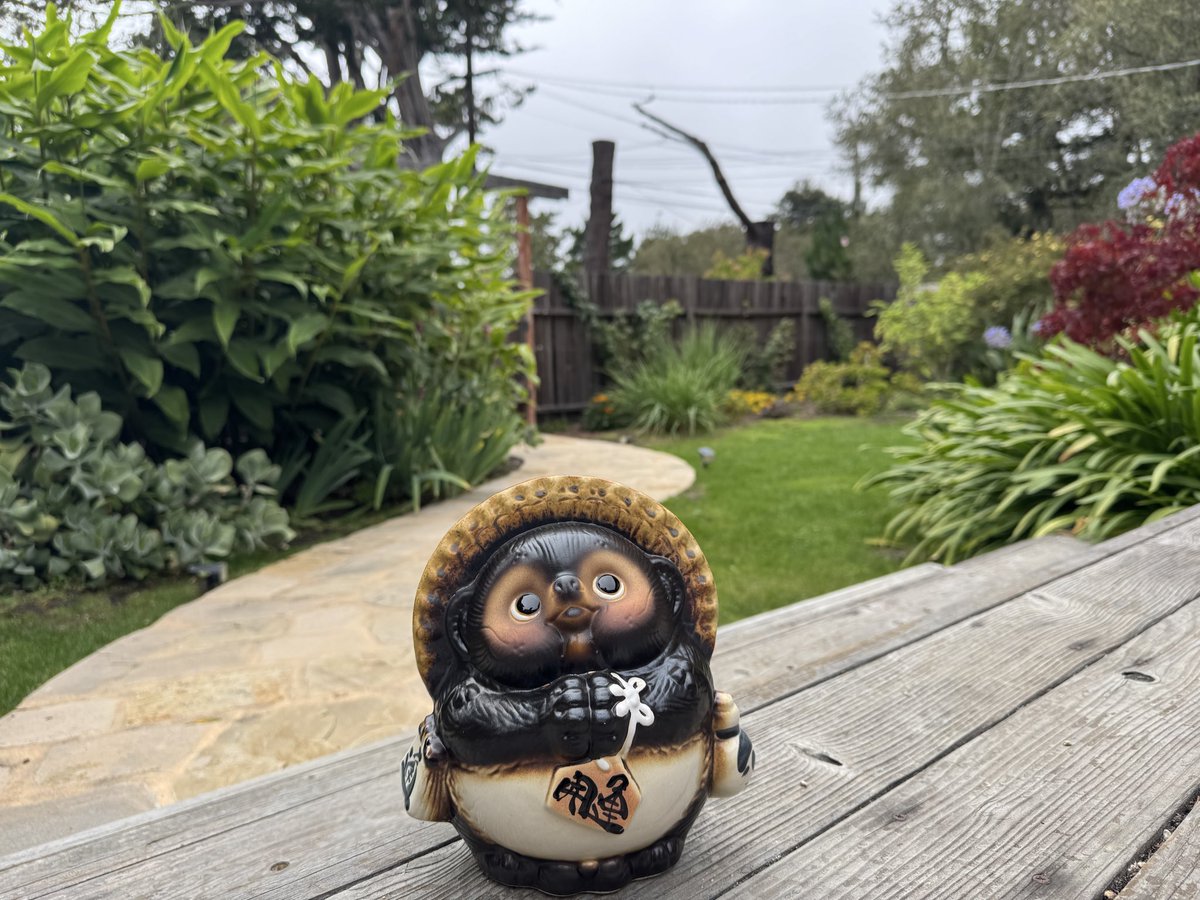 thoughtcrime___'s tweet photo. tanuki’s adventure continues through northern california
#Lifestyle #NorCal #CaliLiving https://t.co/eskXnynZFs