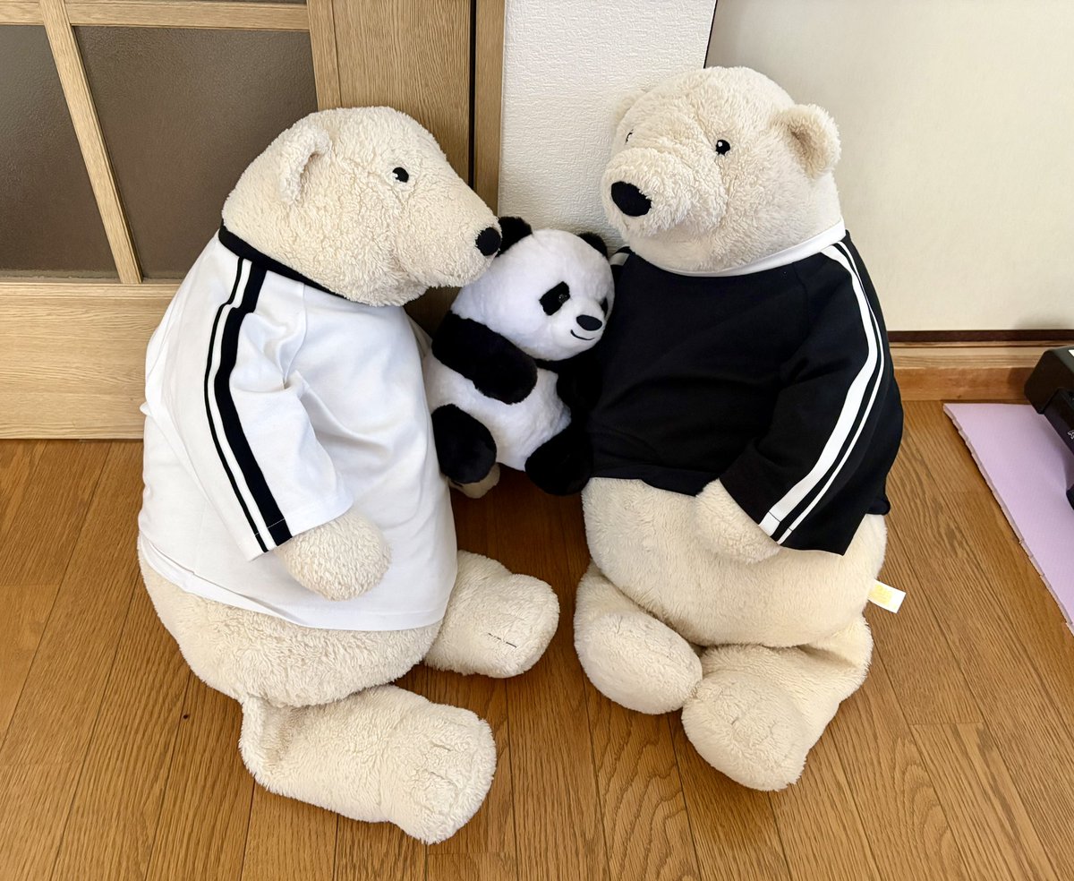 kiraranono's tweet photo. すーさん達のところに
たまにパンダが遊びにきてくれるのに
結局取り合いに💦
#シロクマ
#すーさん https://t.co/V3Btd13jKs