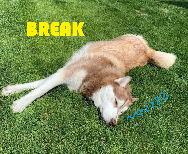 Pyrwuff's tweet photo. Hey y'all!
Life has been life-ing (nothing bad, no worries), July was quite busy and August is shaping up to be busier, and I have some things to catch up on, so I'm taking a little break! https://t.co/M3hru4CAEM