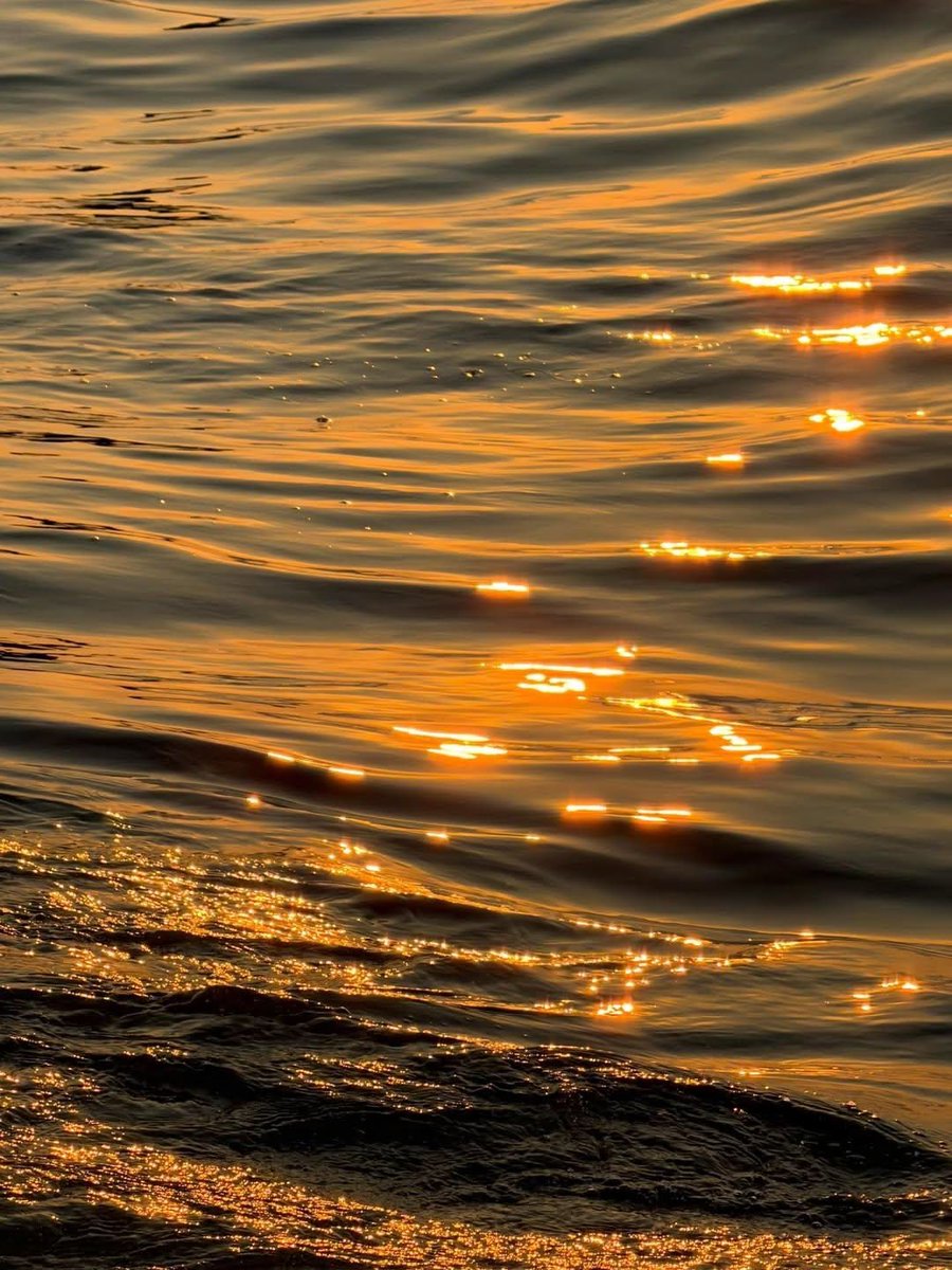 aestheticspost_'s tweet photo. Golden hour https://t.co/JN6V0uq76c