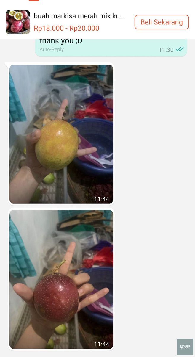 yappingbase's tweet photo. yap! ketika lu melakukan trik beli photocard ke beli buah online biar ga kena scam https://t.co/xe86dCS5dA