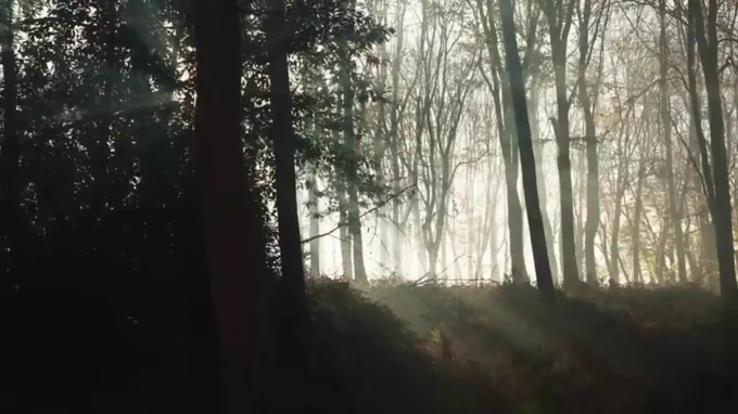 Image from Harry Potter TV Show: COUNTDOWN (@HpDaysCountdown)