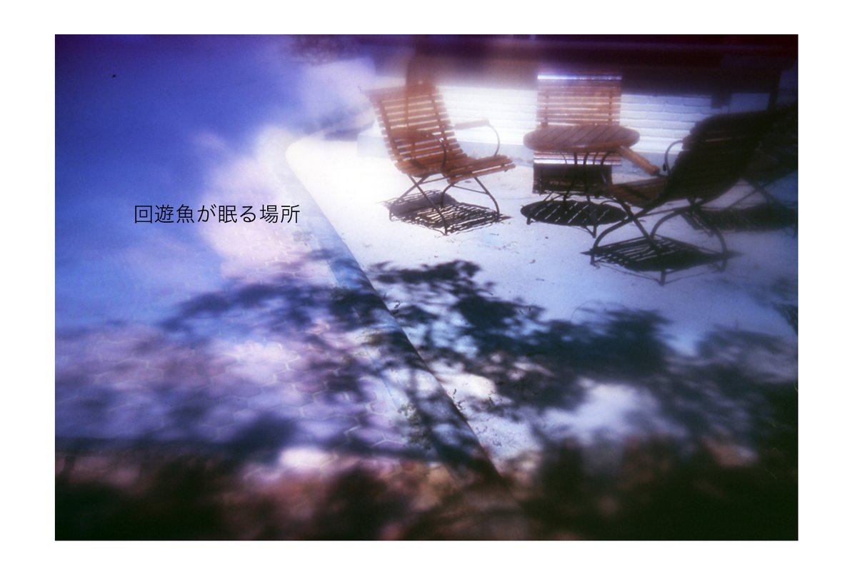 bookletterrain's tweet photo. 『回遊魚が眠る場所』

#写真と言葉 #ベンチのある風景 #ベンチ #椅子のある風景 #bench #chair https://t.co/3RHtfsijeD