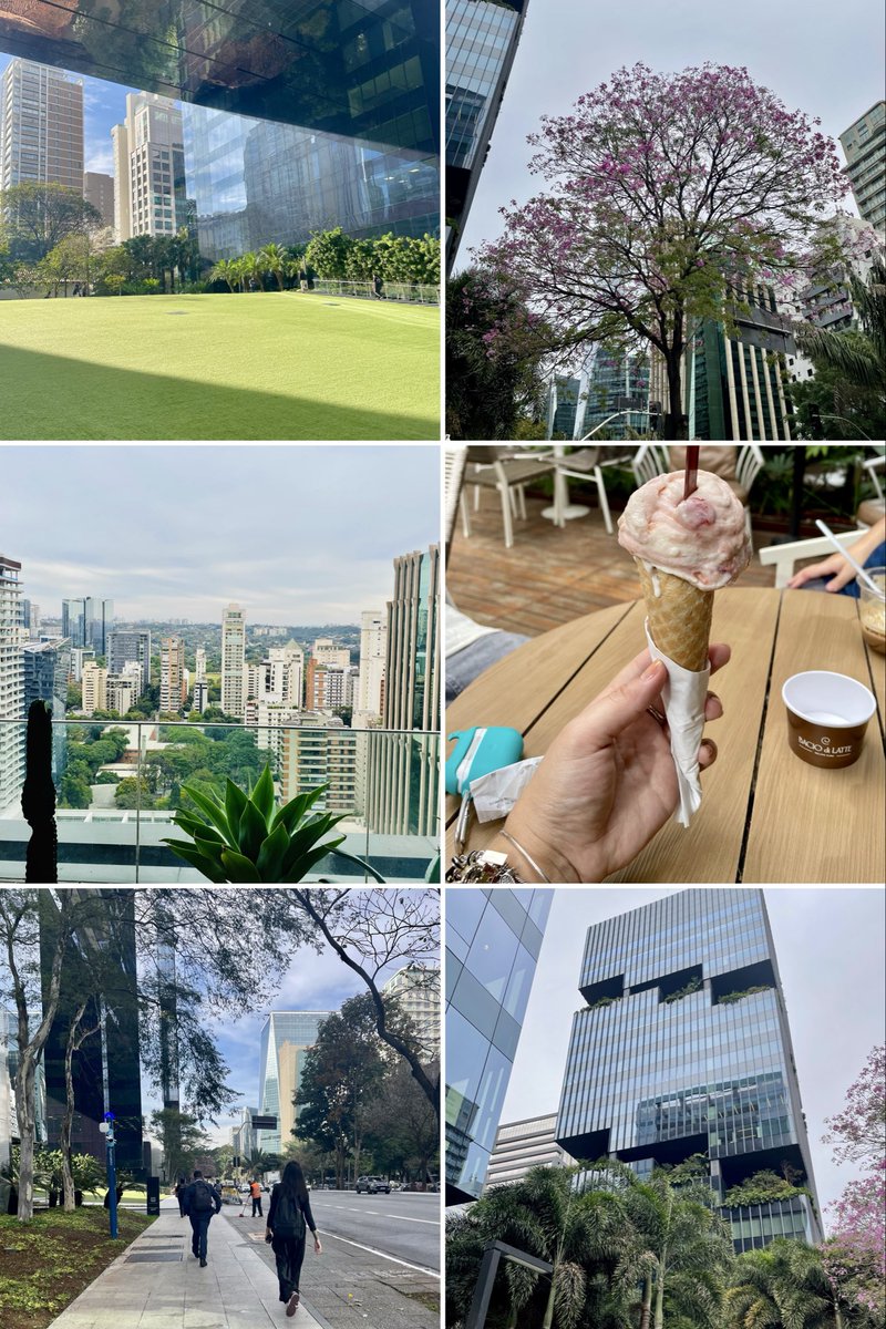 gnomita's tweet photo. Não saberia morar na capital. Mas sou a primeira a me comportar como a maior turista, fã, líder de torcida e admiradora quando estou lá… https://t.co/0BYEE3W6i6
