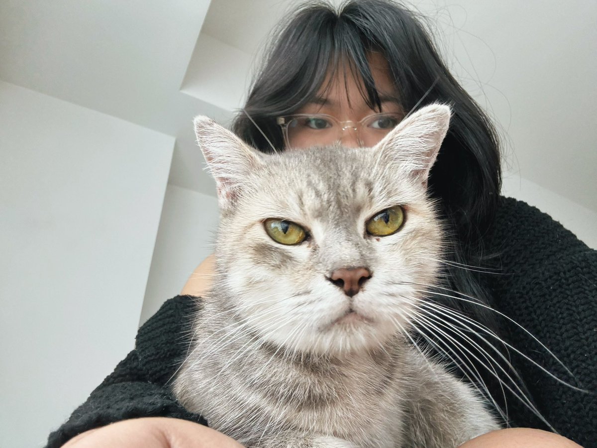lowessalano's tweet photo. Hehe ￼￼￼￼￼￼￼￼￼￼￼￼￼￼￼￼￼￼￼￼🐱 https://t.co/velB0Z1yNM