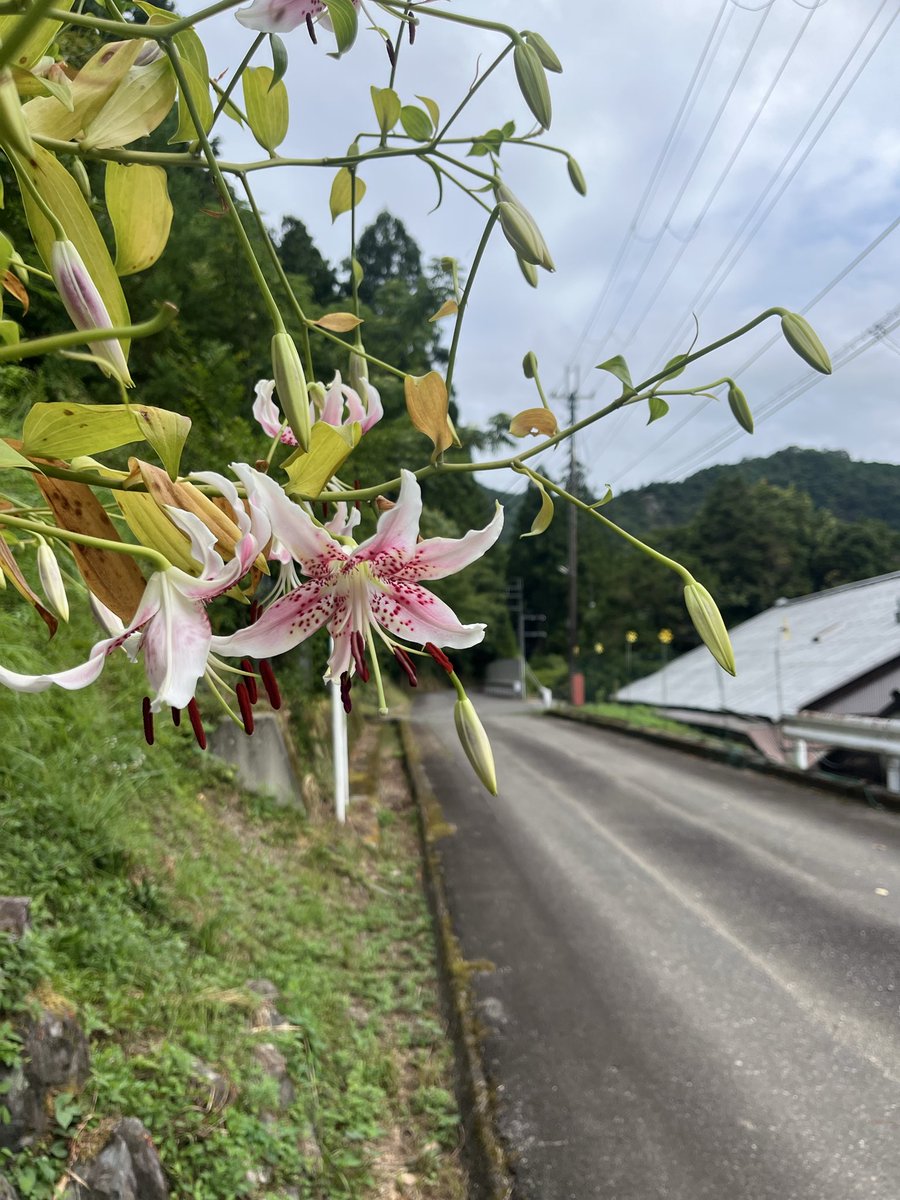 radio1132512's tweet photo. おはようございます。

行ってきます。💪😀
#ワンモ
#イマソラ https://t.co/L3hnf1Symw