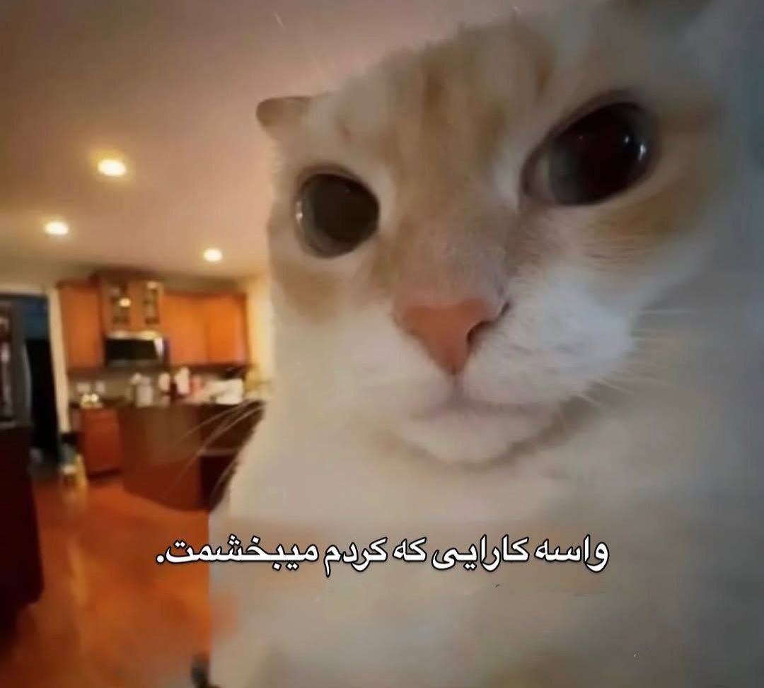 hadislalala's tweet photo. https://t.co/ox7fdSNOya